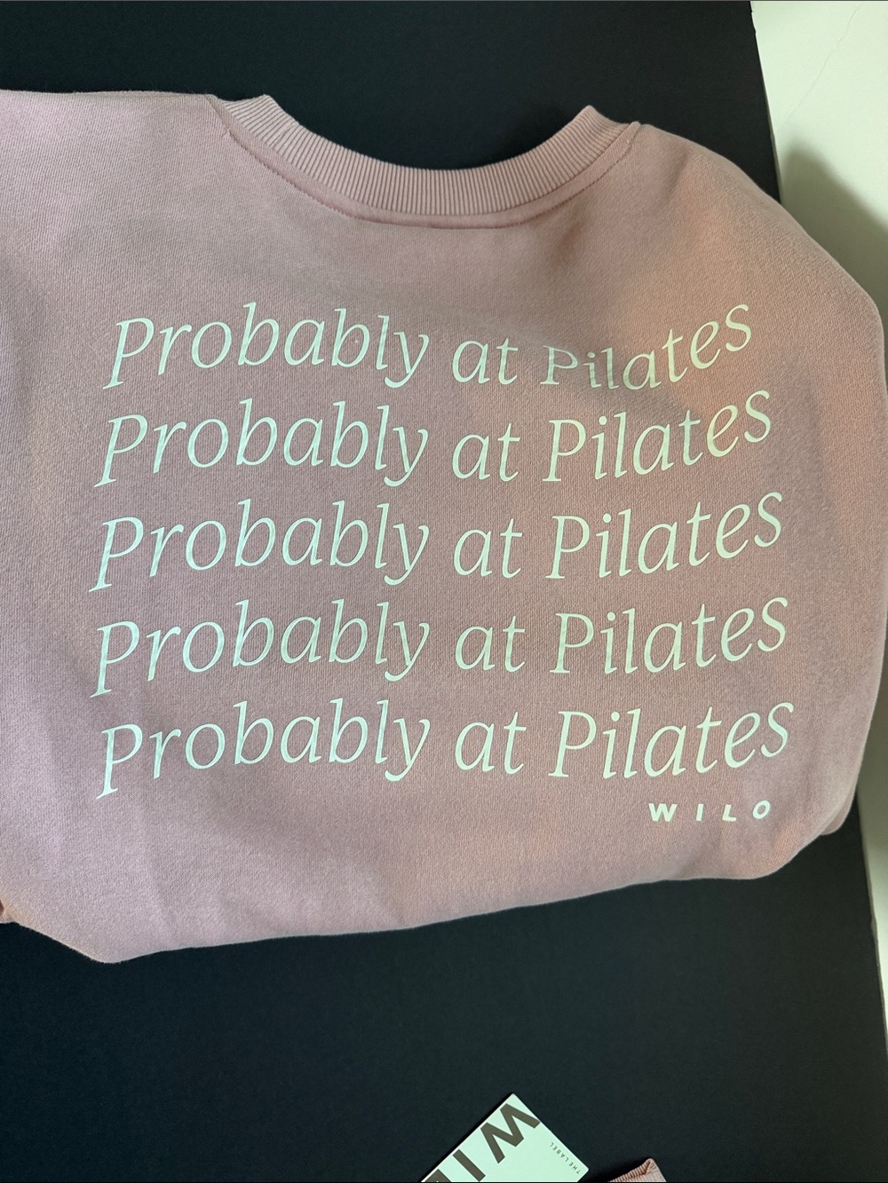 NWT Viral WILO The Label BlushPink
Probably at Pilates Sweatshirt and Shorts Set - Picture 5 of 8